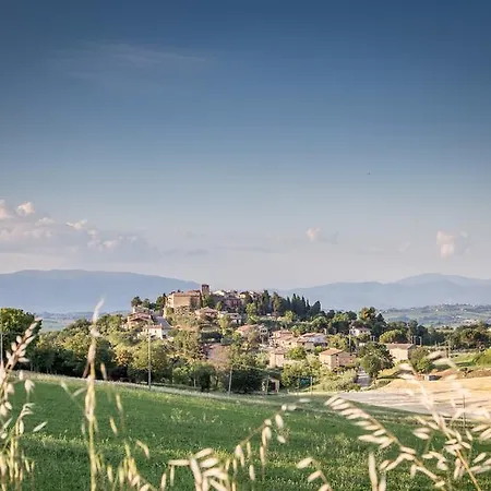 Bed & Breakfast Domus In Castro 3*