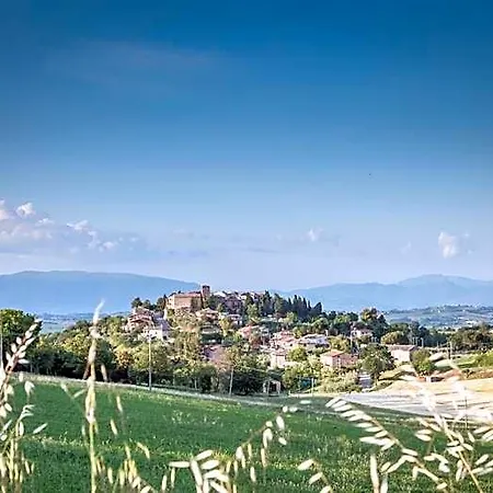 Domus In Castro 住宿加早餐酒店 Montecchio (Perugia)
